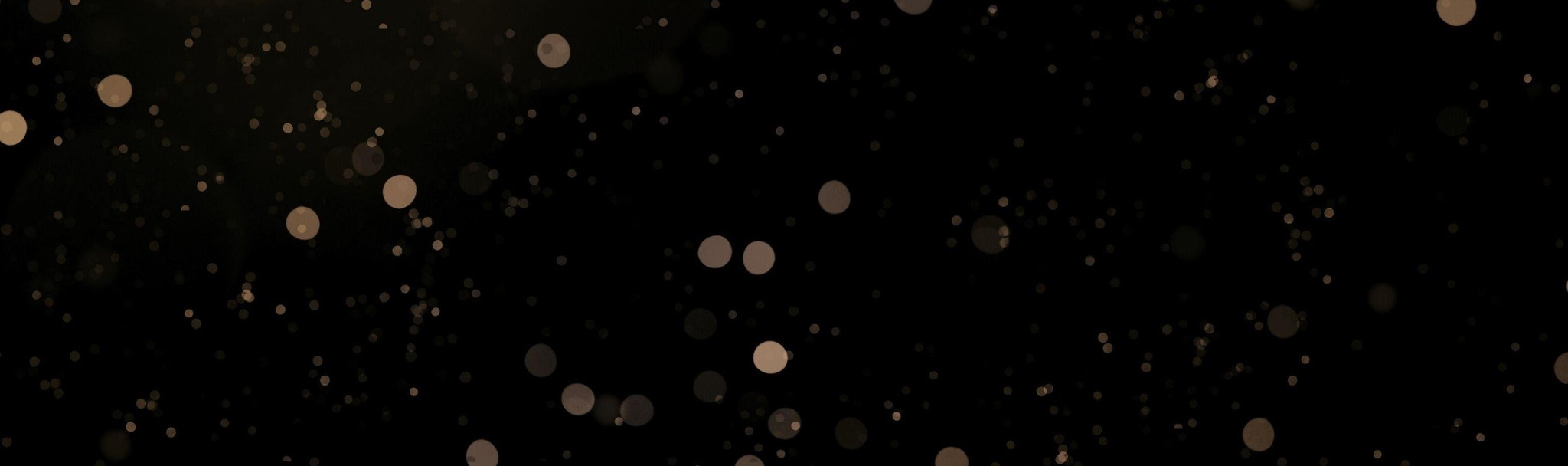innerpage banner